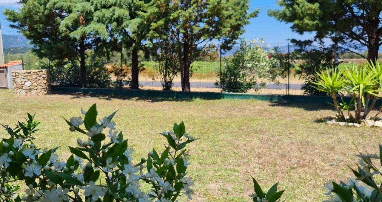 House Tra Mare E Montagna Vakantiehuis Castiadas